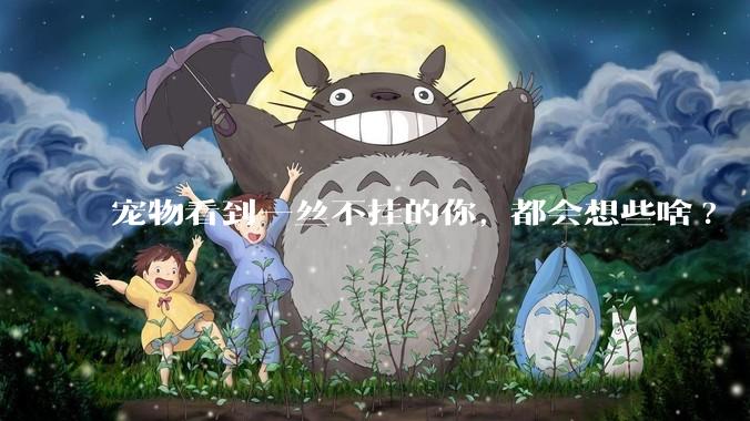 宠物看到一丝不挂的你, 都会想些啥?