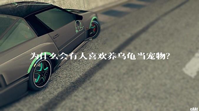 为什么会有人喜欢养乌龟当宠物？