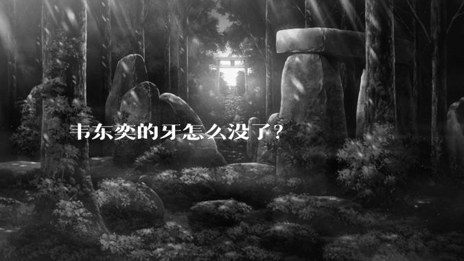 韦东奕的牙怎么没了？