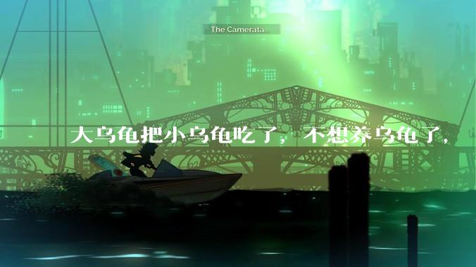 大乌龟把小乌龟吃了，不想养乌龟了， 怎么办？