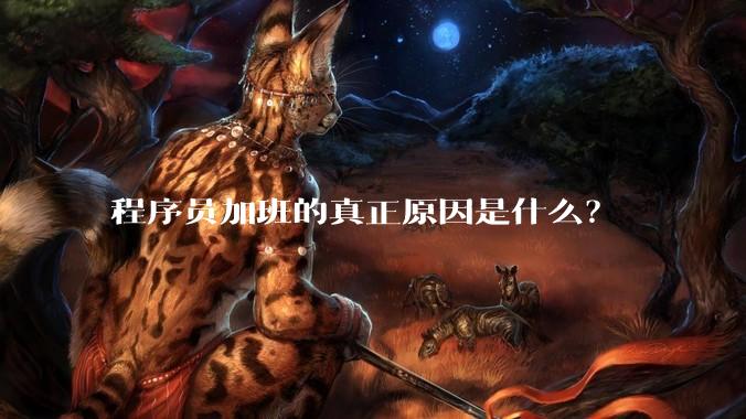 程序员加班的真正原因是什么？