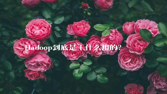 Hadoop到底是干什么用的？