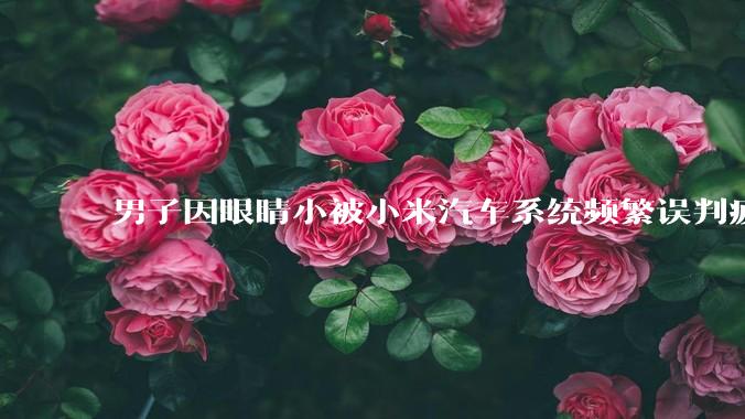 男子因眼睛小被小米汽车系统频繁误判疲劳驾驶，一路提醒20多次，这是智能汽车通病吗？怎么解决该 bug？