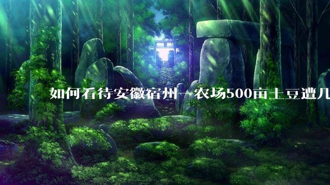如何看待安徽宿州一农场500亩土豆遭几百名村民哄抢，曝光后民警要求种植户删帖？法不责众？如何有效维权？