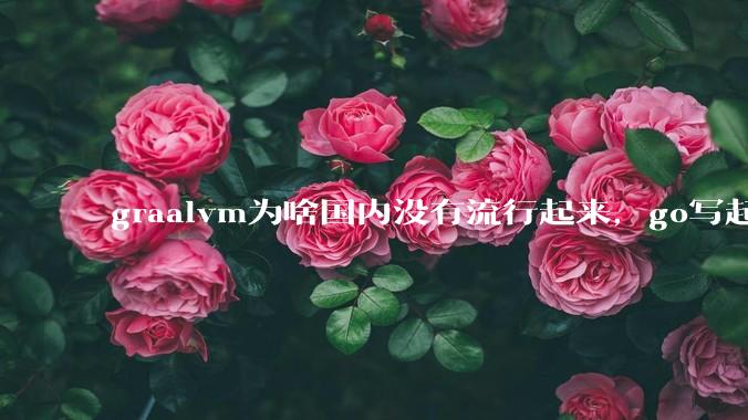 graalvm为啥国内没有流行起来，go写起来实在太恶心了，难道任凭go独霸云原生？