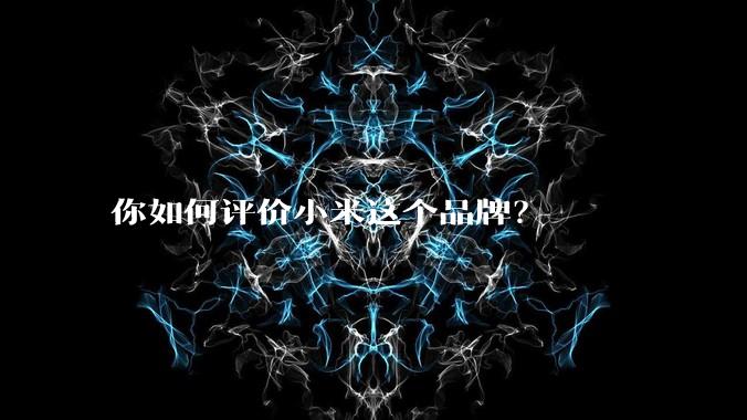 你如何评价小米这个品牌？