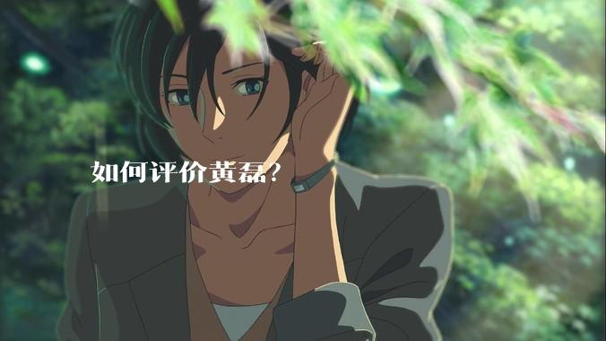 如何评价黄磊？