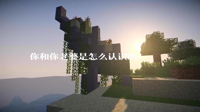 你和你老婆是怎么认识的？