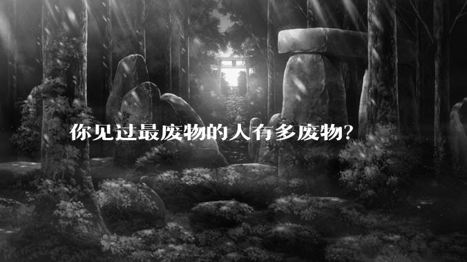 你见过最废物的人有多废物？