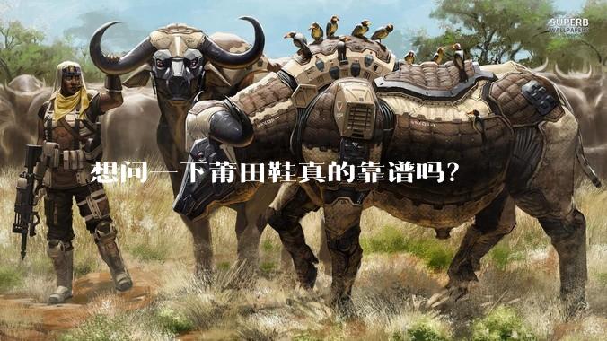 想问一下莆田鞋真的靠谱吗？