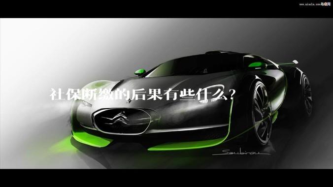 社保断缴的后果有些什么？