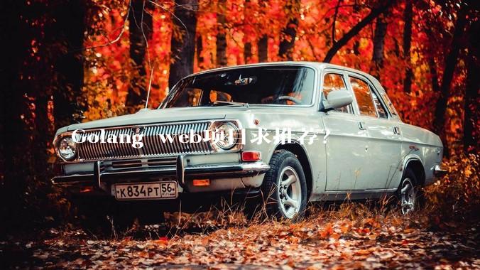 Golang web项目求推荐？