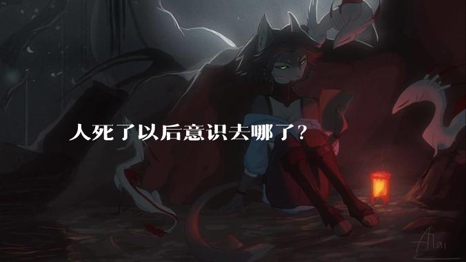 人死了以后意识去哪了？
