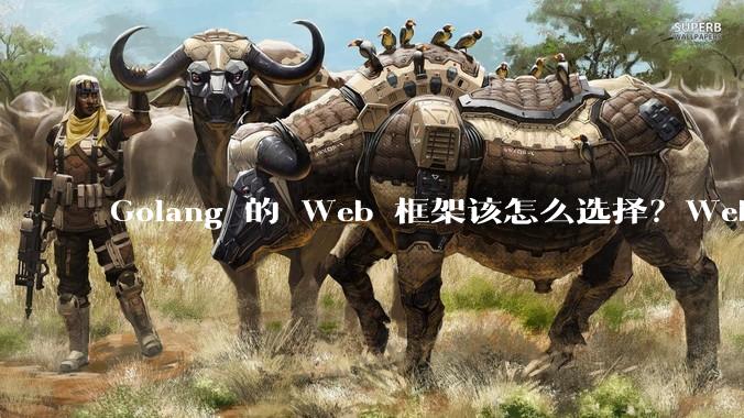 Golang 的 Web 框架该怎么选择？Web 开发又该怎样学？