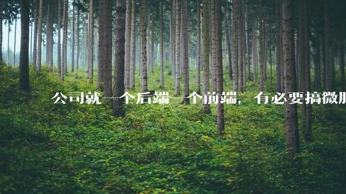 公司就一个后端一个前端，有必要搞微服务吗？