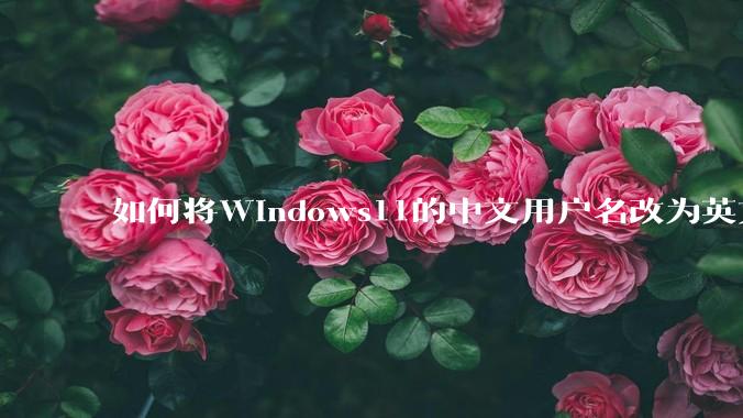 如何将Windows11的中文用户名改为英文？
